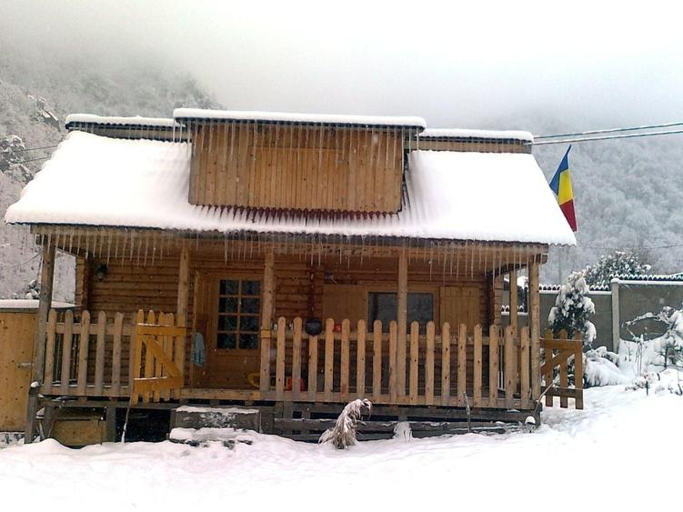 Casă în Clopotiva