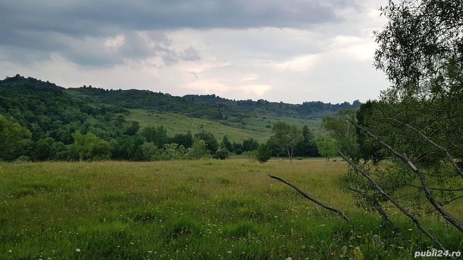 Teren de 3013 mp, în Valea