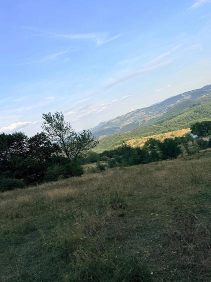 Teren de 3000 mp, în Ciuruleasa