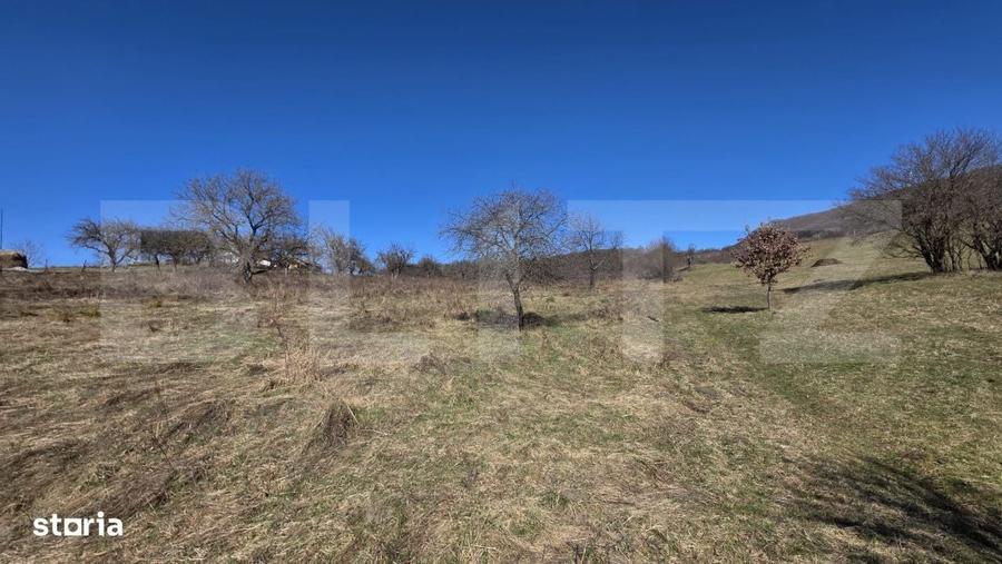Teren de vanzare de 8,567MP in zona: Tarpiului - 12