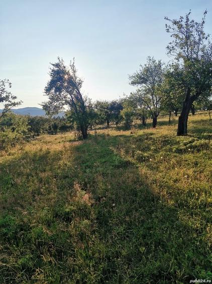 Teren de 2700 mp, în Dobreni