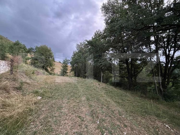 Teren Construcții intravilan de 1585 mp, în Câmpeni