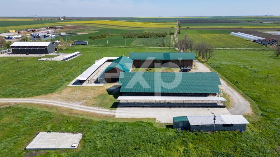Teren Construcții intravilan de 105000 mp, în Crânguri
