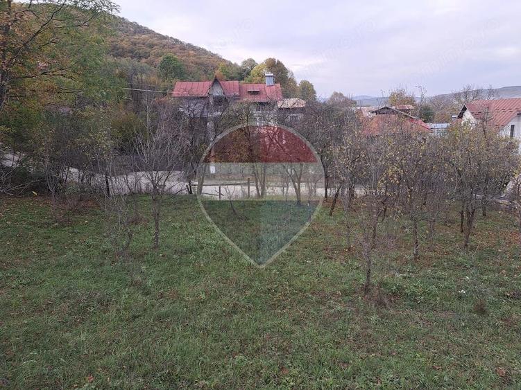 Teren de 3500 mp, în Poiana