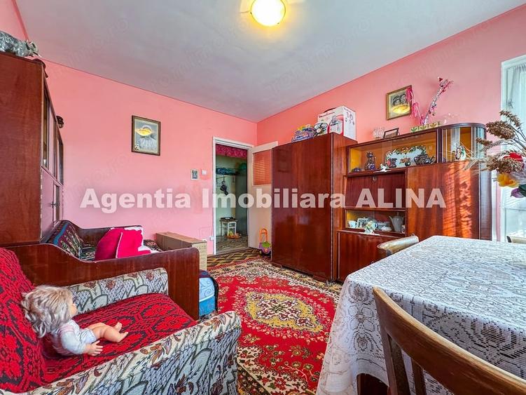 Apartament cu 2 camere decomandat în Minerul
