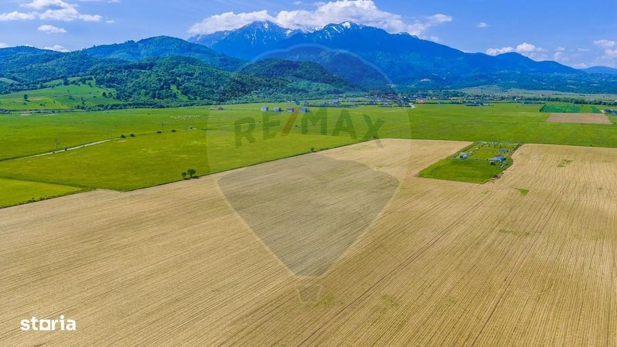 Teren extravilan 12.300 mp / Rasnov / Comision 0% - 1