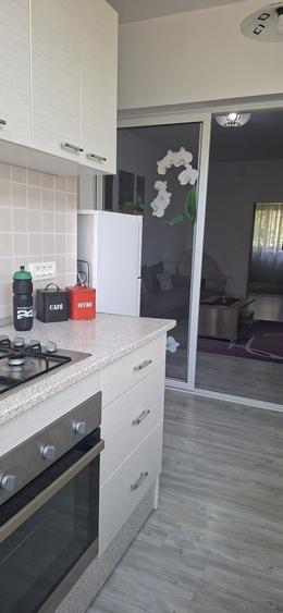 Apartament cu 2 camere semidecomandat în Moșnița Veche