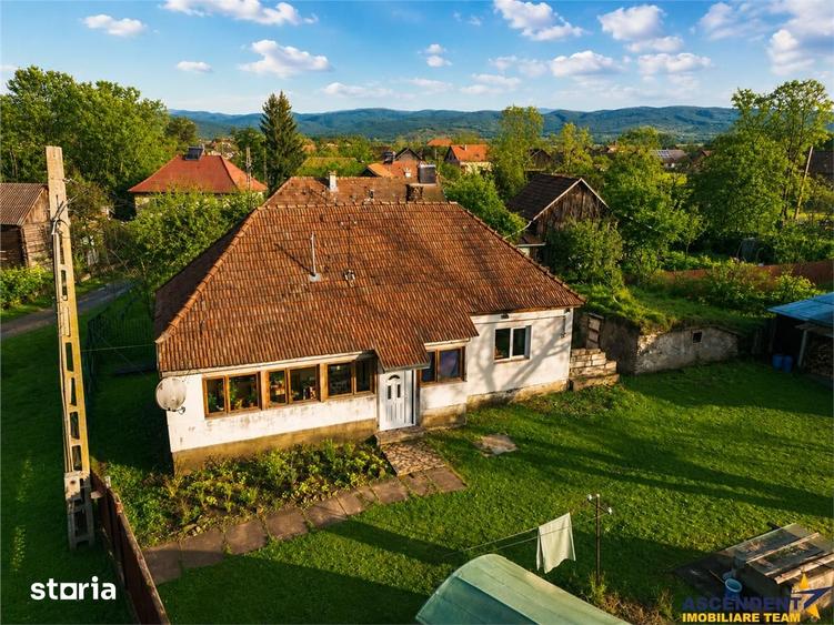 FILM! Casa cu sura, pivnita, balta cu pesti, 2.280 mp teren roditor, L - 18