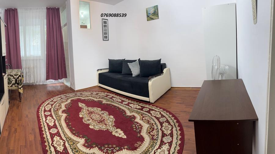 Garsonieră în Costin Georgian