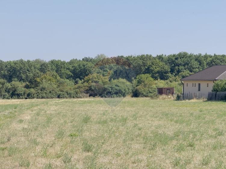 Teren Construcții intravilan de 2841 mp, în Apateu