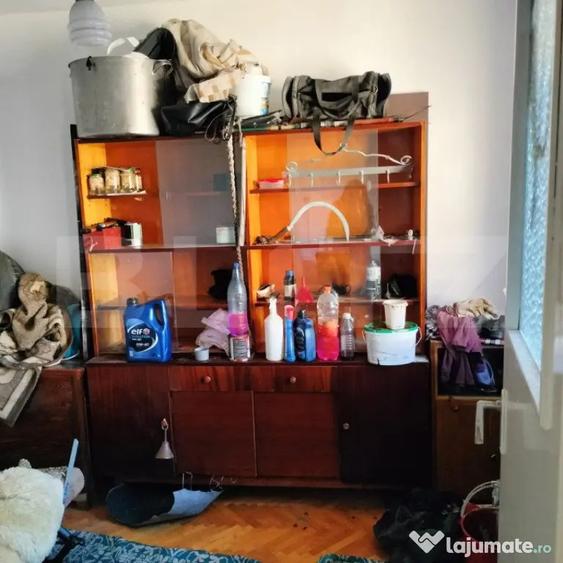 Apartament cu 2 camere semidecomandat, mobilat în Mureșeni