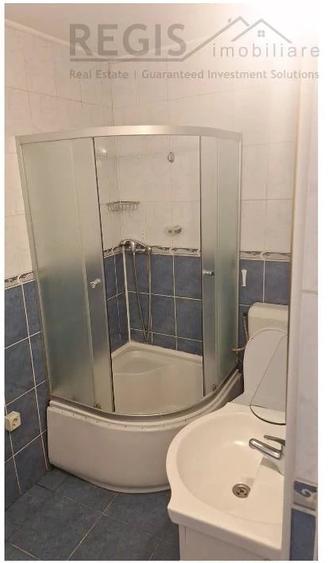 Garsoniera spatioasa si moderna cu pod la casa Strada Lunga - 3