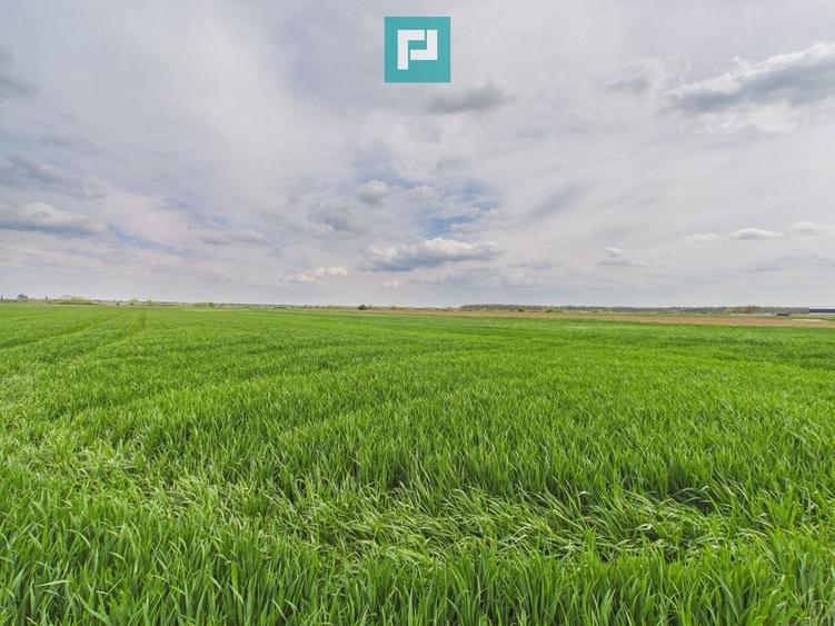 Teren agricol extravilan de 19900 mp, în Giroc