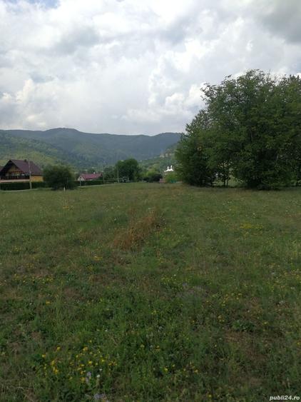 Teren în Stejaru (Pângărați)