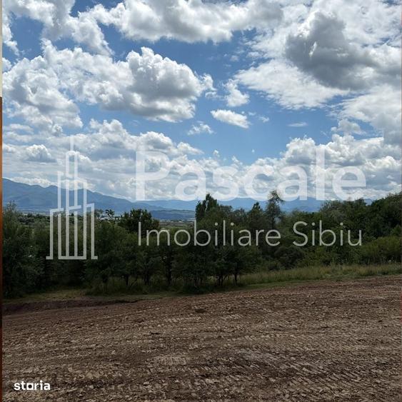 Teren De Vanzare In Bradu,Posibilitate De Achizitie Si A 1/2 De Teren! - 4