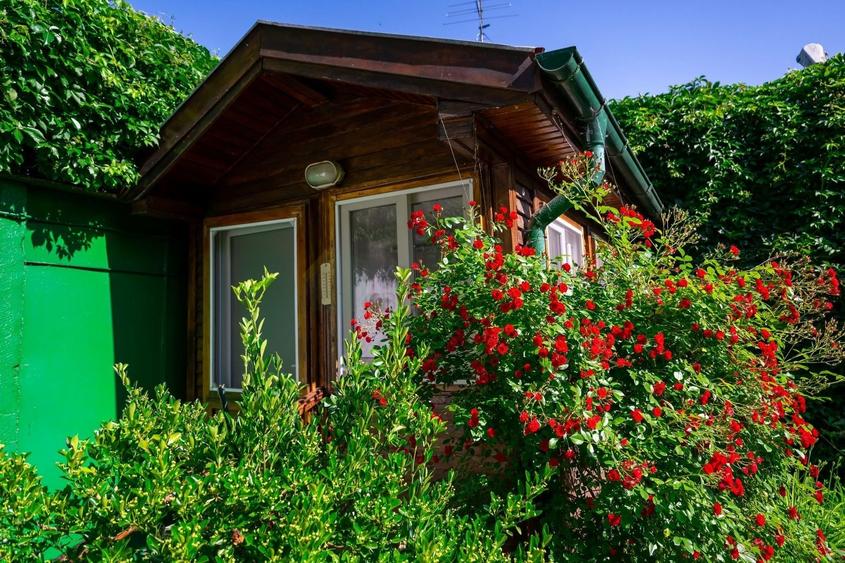 Casă individuală cu 6 camere cu Piscina în Nord