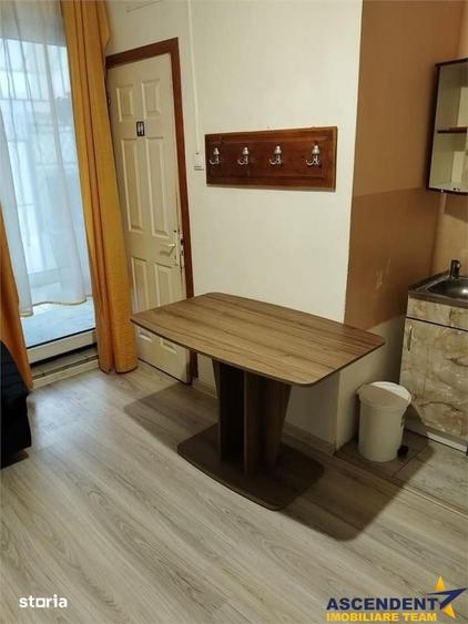 Garsoniera in vila, baie si bucatarie proprie, acces aproape independe - 18