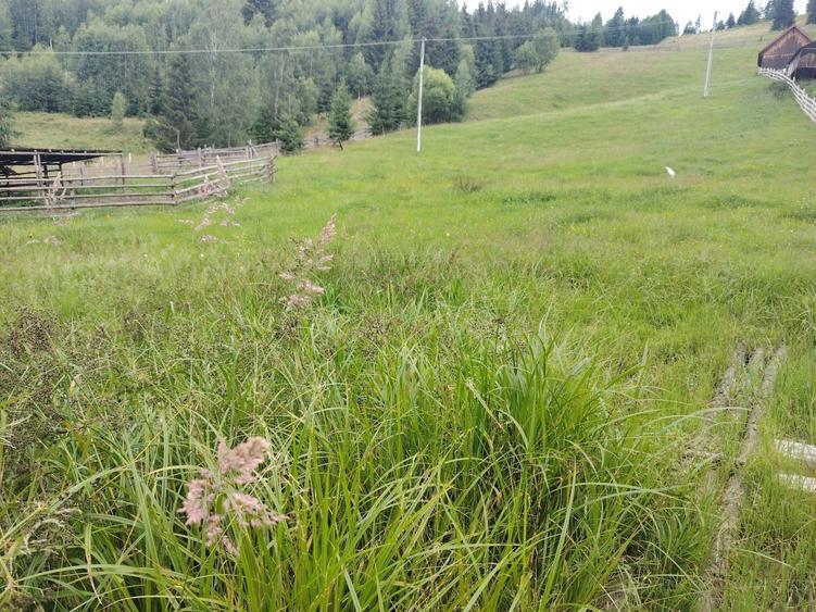 Vand teren in panaci - 7