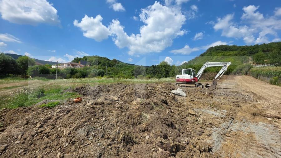 Teren Construcții extravilan de 1750 mp, în Viișoara