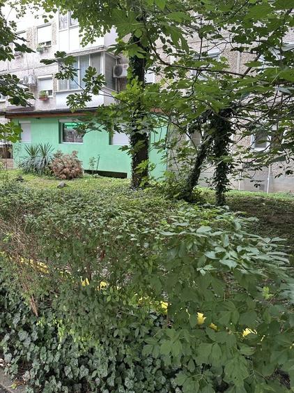 Apartament cu 3 camere decomandat în Dacia