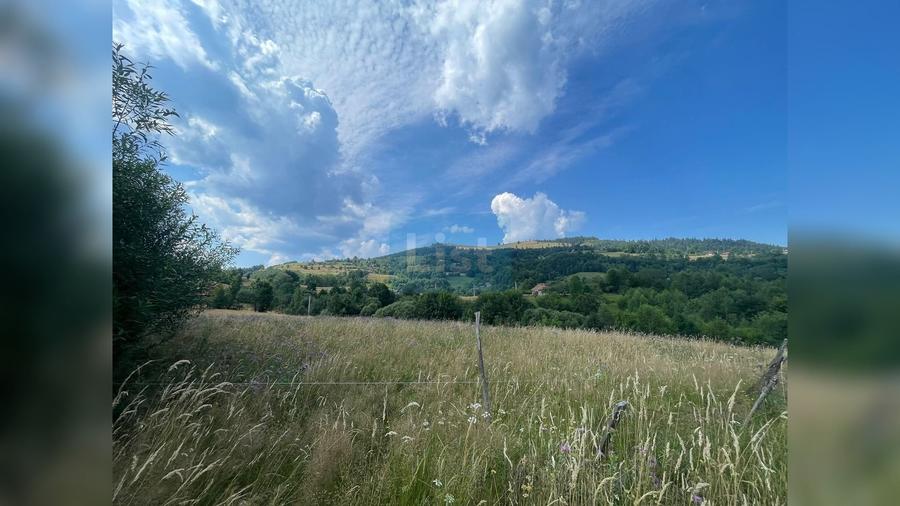 Teren de 8335 mp, în Vișagu