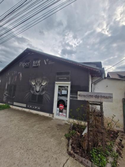 Spațiu comercial, de 120 mp, în Buftea