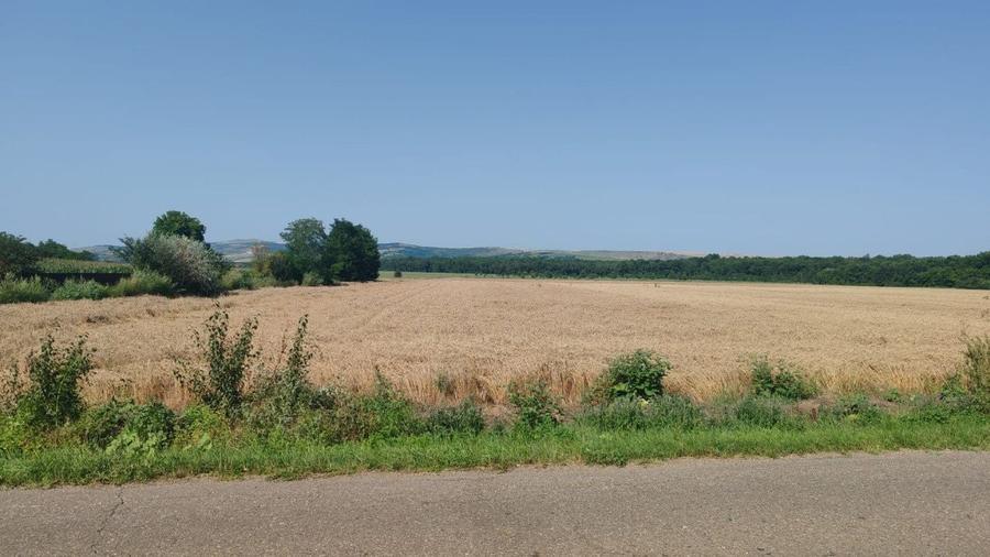 Teren agricol extravilan de 10400 mp, în Bălteni