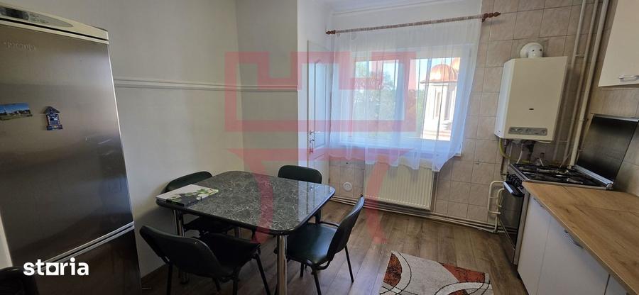 Inchiriere apartament renovat 2 camere parcare Plopilor parcul Babes - 10