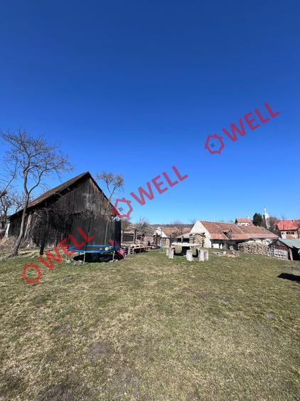 Casă cu 2 camere cu Teren 4054 Mp în Valea Crișului