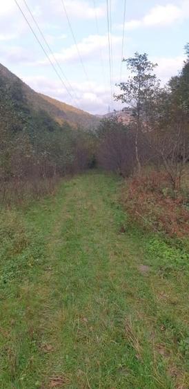 Teren extravilan de 2834 mp, în Râu de Mori