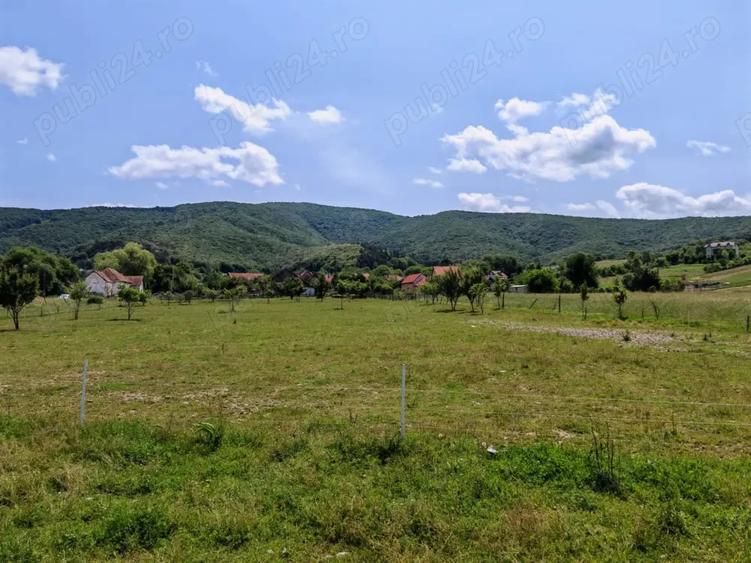 Teren de 7800 mp, în Dobârlău