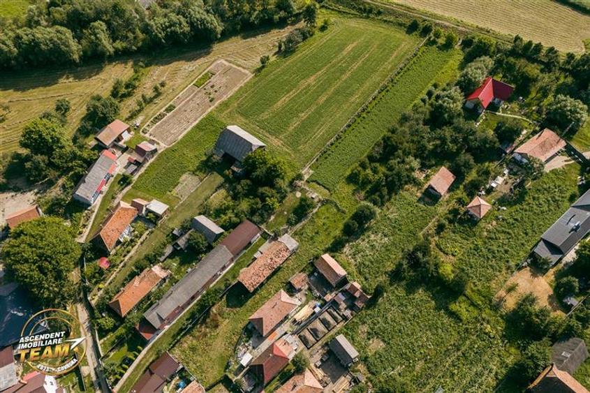 Teren Construcții intravilan de 1963 mp, în Catalina