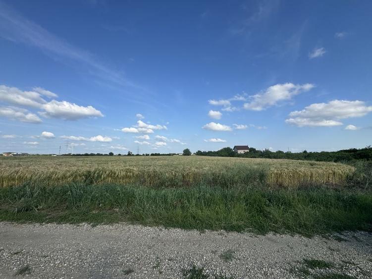 Teren de 9300 mp, în Pruni
