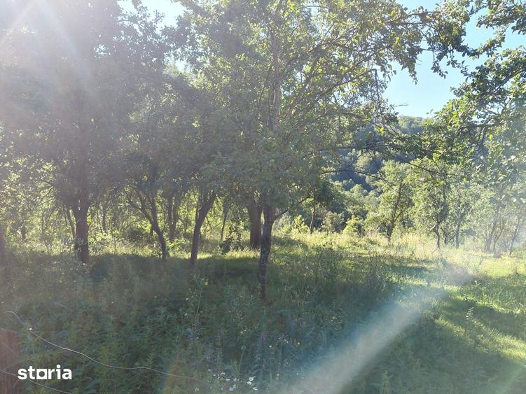 Casă cu 2 camere cu Teren 28000 Mp în Hălmagiu