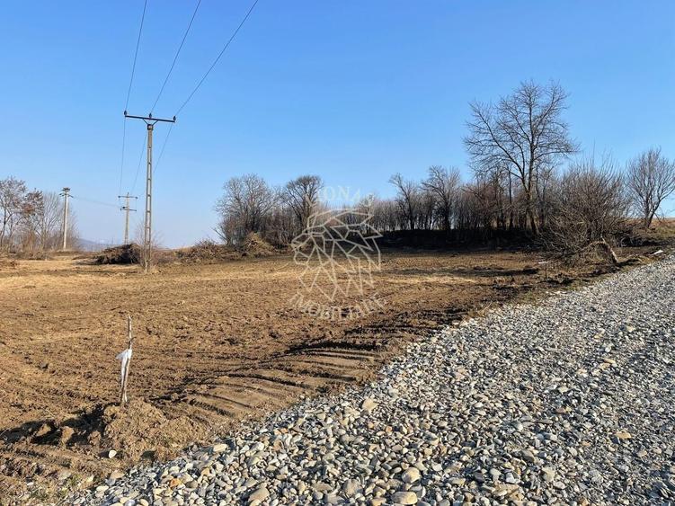 Teren Construcții extravilan de 1000 mp, în Sigmir