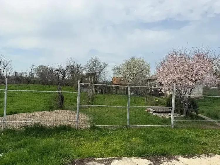 Teren de 5400 mp, în Păltinișu