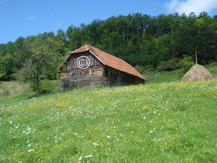 Teren agricol intravilan de 8644 mp, în Valea Bradului