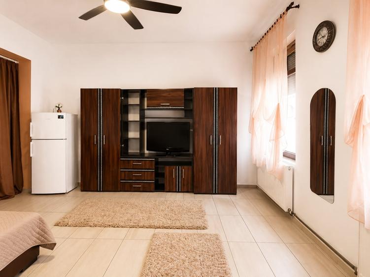 Apartament cu o cameră Traian - 4