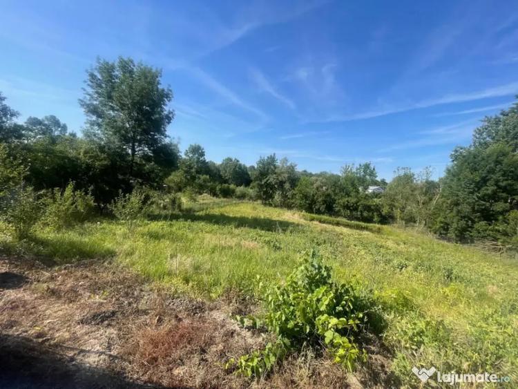 Casă cu 3 camere cu Teren 1500 Mp în Central