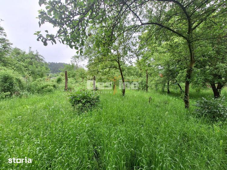 Casă cu 3 camere cu Teren 42 Mp în Central