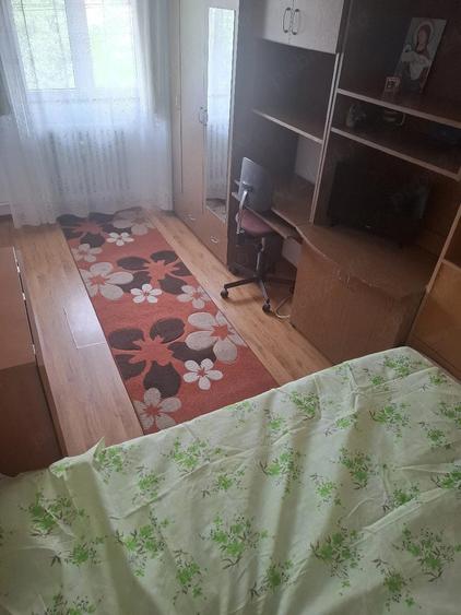Apartament cu 2 camere semidecomandat în Valea Rosie