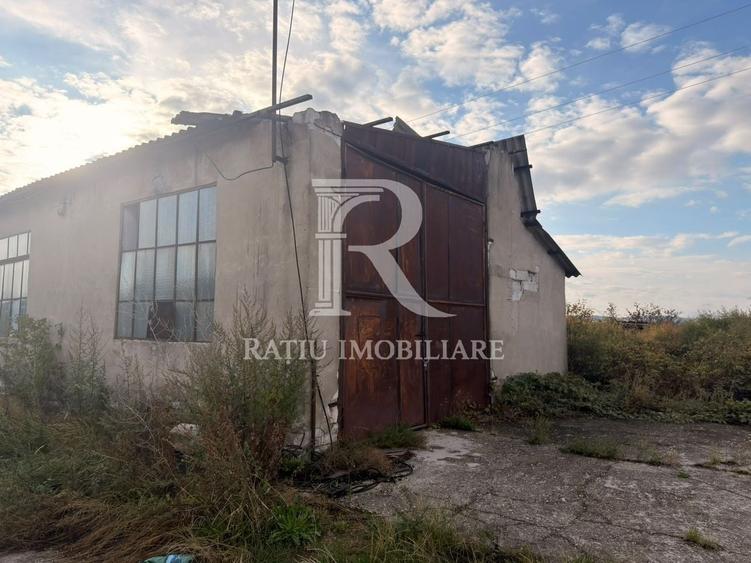 Spațiu industrial, de 8,000 mp, în Sărand