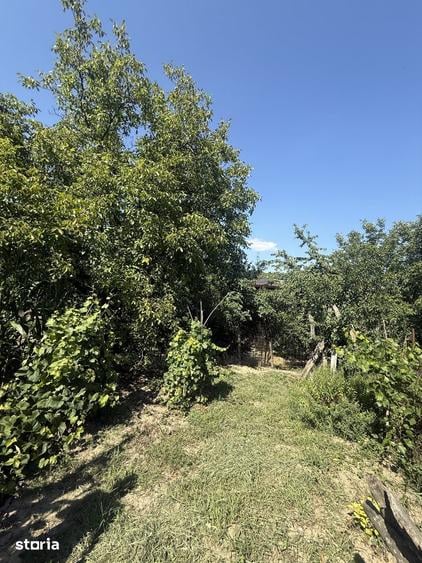 Casă cu 3 camere cu Teren 1100 Mp în Mărgineni