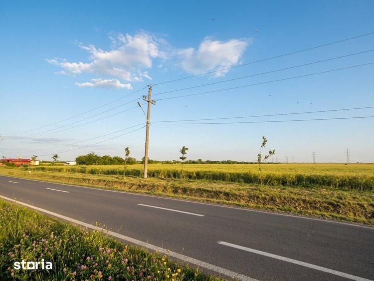 Teren de 5000 mp, în Moara Vlăsiei