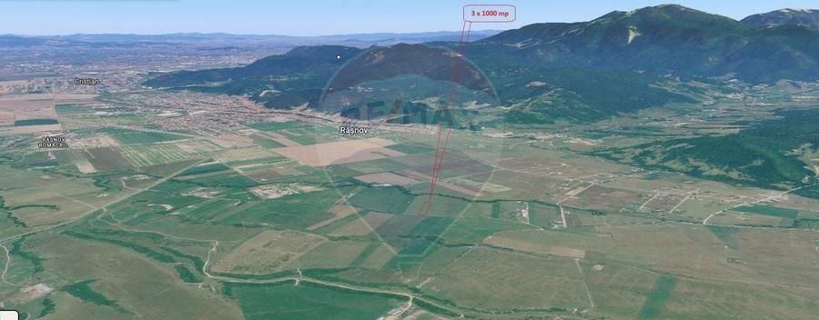 Teren agricol extravilan de 3000 mp, în Pănicel