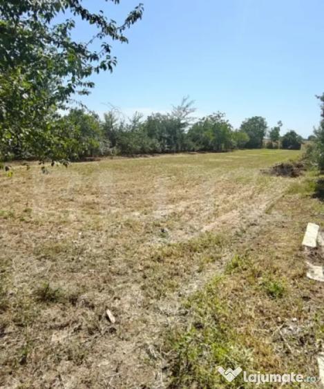 Teren de vanzare, 2.000 mp, deschidere 60 m, zona Dobra - 2