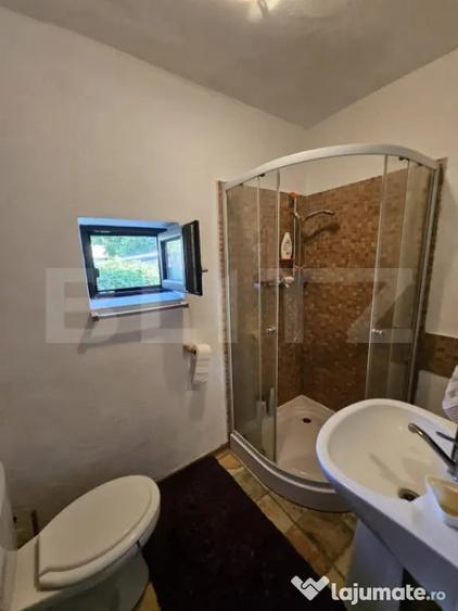 Casa individuala de vanzare in exclusivitate Tomsani - 17