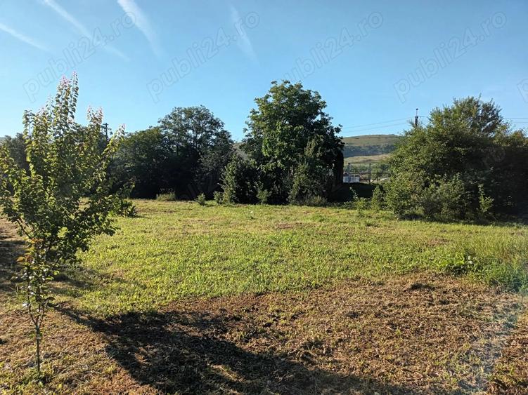 Teren de 4000 mp, în Central