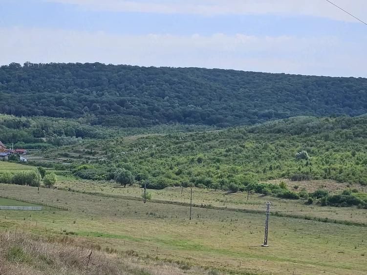 Teren de 7200 mp, în Crețești