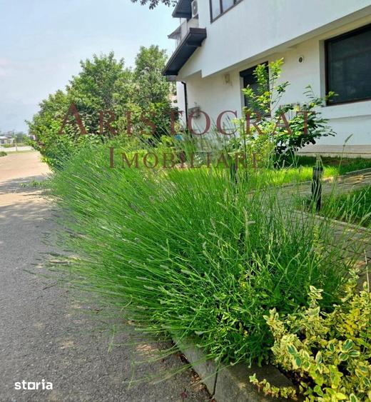 Duplex 4 camere mobilat si utilat - 3